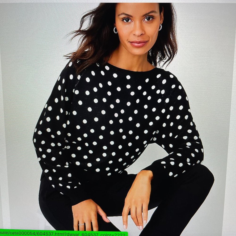 Ann Taylor Dotted Boatneck Sweater